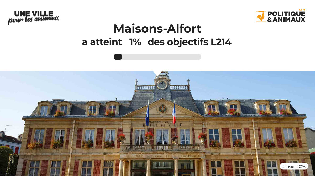 Sitemapcdatahttpsfoowindecoocombrocante Maisons Alfortnull