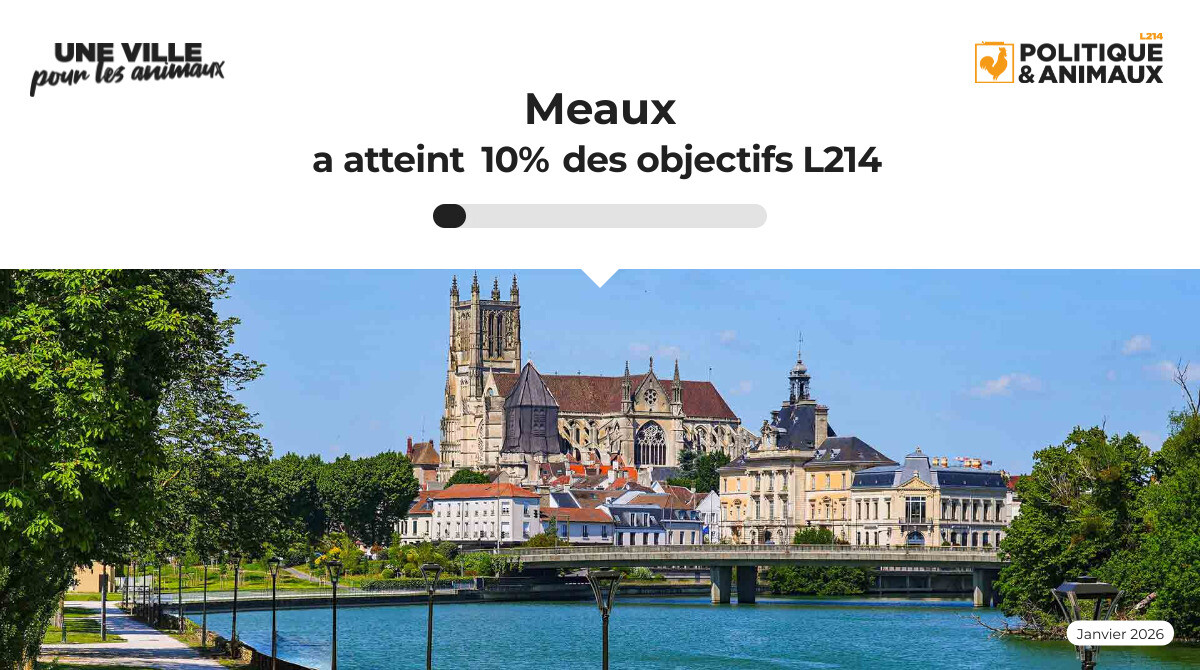Mdaux Meaux - Politique & Animaux