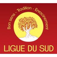 Logo LS