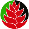 Logo PPM