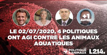 Logo L’État a été condamné par le Tribunal administratif pour carence dans le respect de ses obligations de protection des cétacés et de contrôle des activités de pêcherie