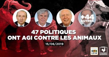 Logo En 2019, ces maires accueillent le cirque Medrano qui détient des animaux