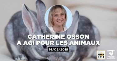 Logo La députée Catherine Osson demande l'interdiction des élevages d'animaux destinés à la production de fourrure