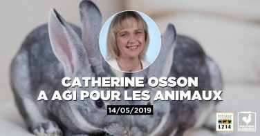 Logo La députée Catherine Osson demande l'interdiction des élevages d'animaux destinés à la production de fourrure