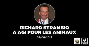 Logo La ville de Draguignan nomme une «allée des droits des animaux» en hommage aux animaux victimes d’actes de cruauté