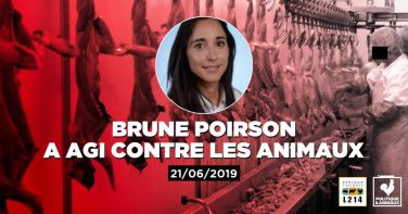 Logo Vaches à hublots: «des pratiques scientifiques et qui ne font pas souffrir l’animal» selon Brune Poirson