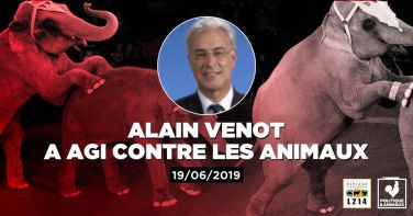 Logo Chateaudun accueille un «spectacle» de montreur d'ours