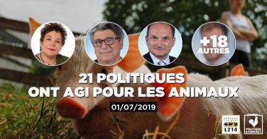 Logo 9 députés demandent une interdiction des recherches zootechniques destinées à augmenter la productivité des animaux d'élevage