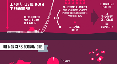 Infographie Chalutage profond