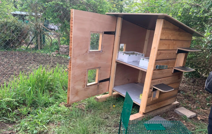 abri pour chats libres